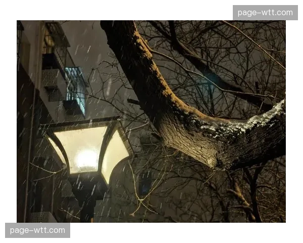 天气预警：本周末都灵地区可能降雪，都灵vs博洛尼亚比赛或受影响