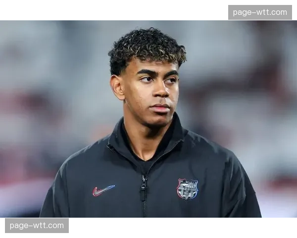 官方:里昂中场核心切尔基因脚踝扭伤将缺席两周